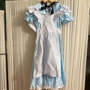 Alice in Wonderland Halloween Costume